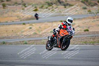 media/Apr-26-2025-2WTD (Sat) [[797c348bd3]]/C Group/240pm/